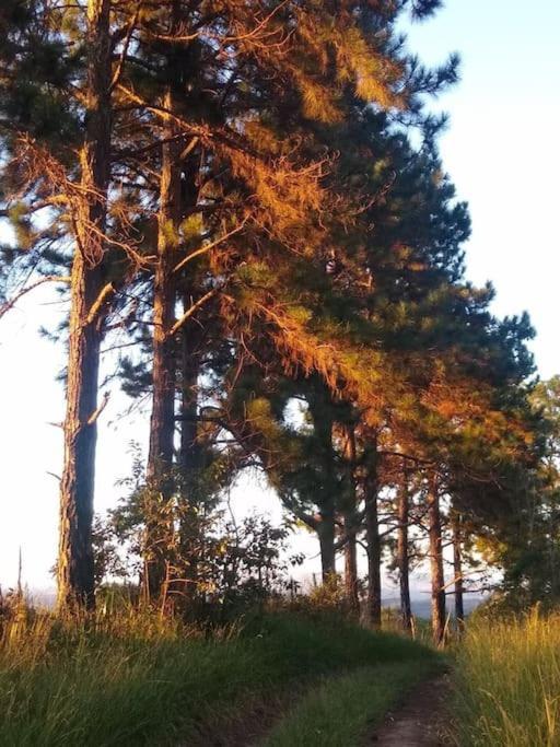 Chale Aconchegante Em Estancia Climatica ซานโต อันโตนิโอ โด เลที ภายนอก รูปภาพ
